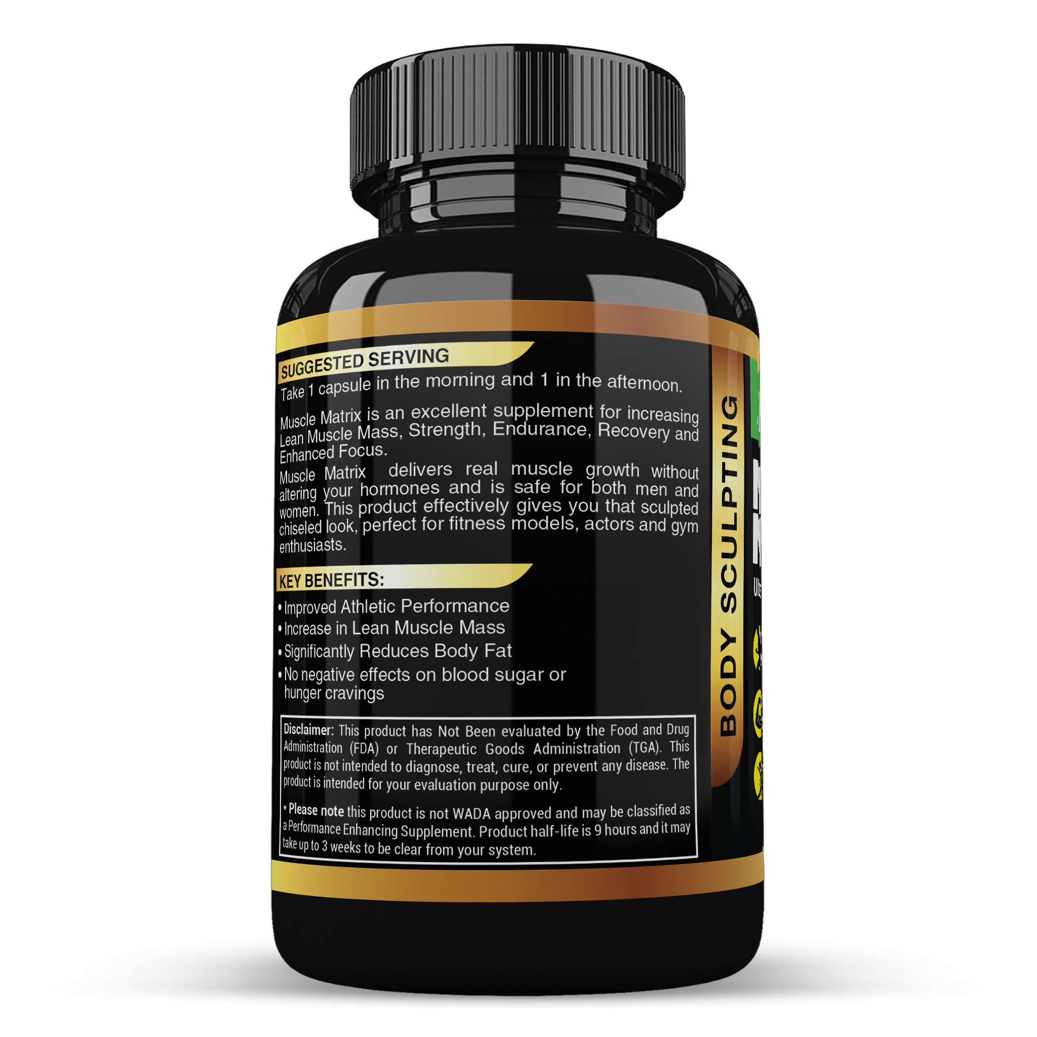 Muscle Matrix